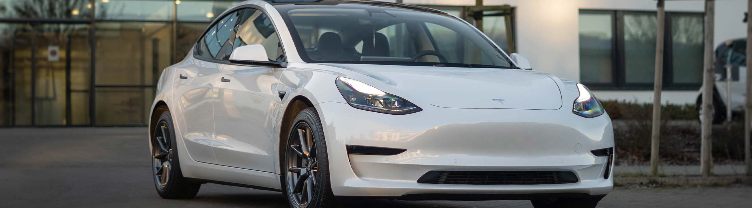Tesla Model 3: Organizer