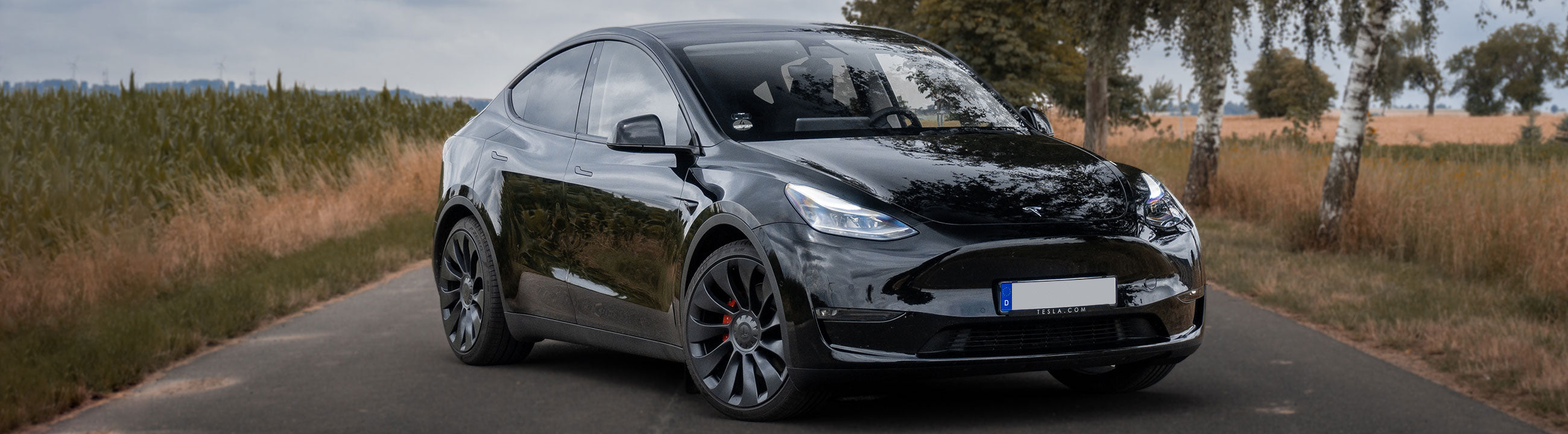 Seiten fenster Schatten für Tesla Modell Y 2020-2024