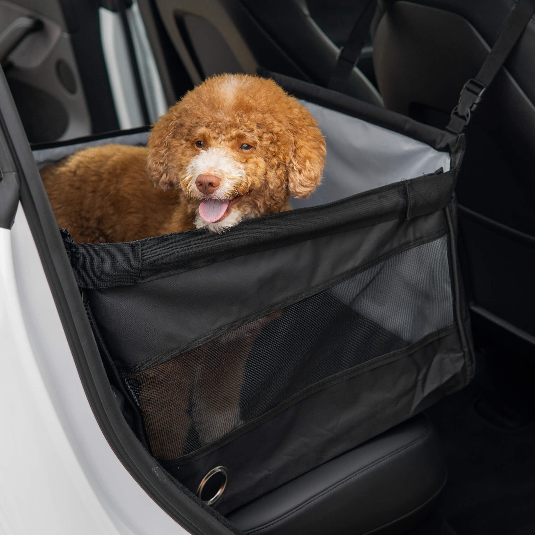 tesla hundebox