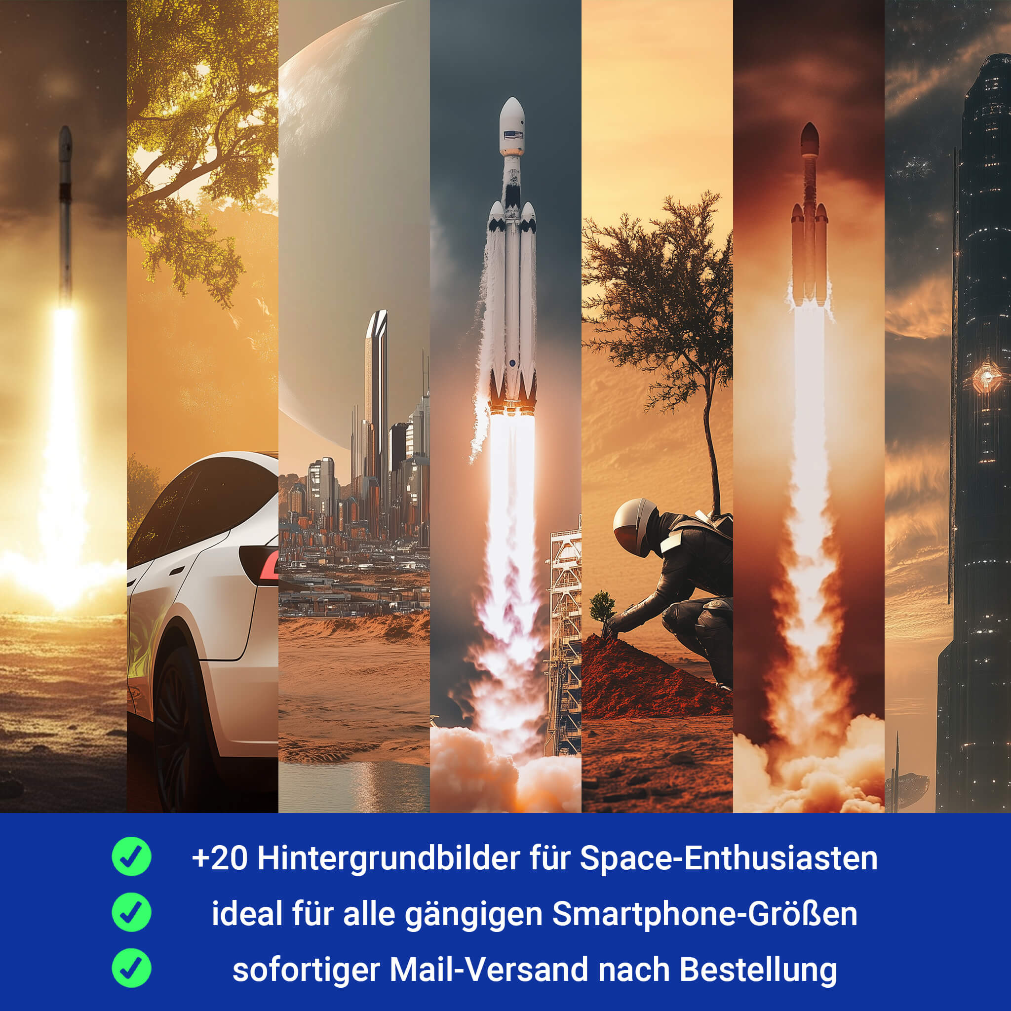 Tesla Model S/3/X/Y: SpaceX-Aufkleber