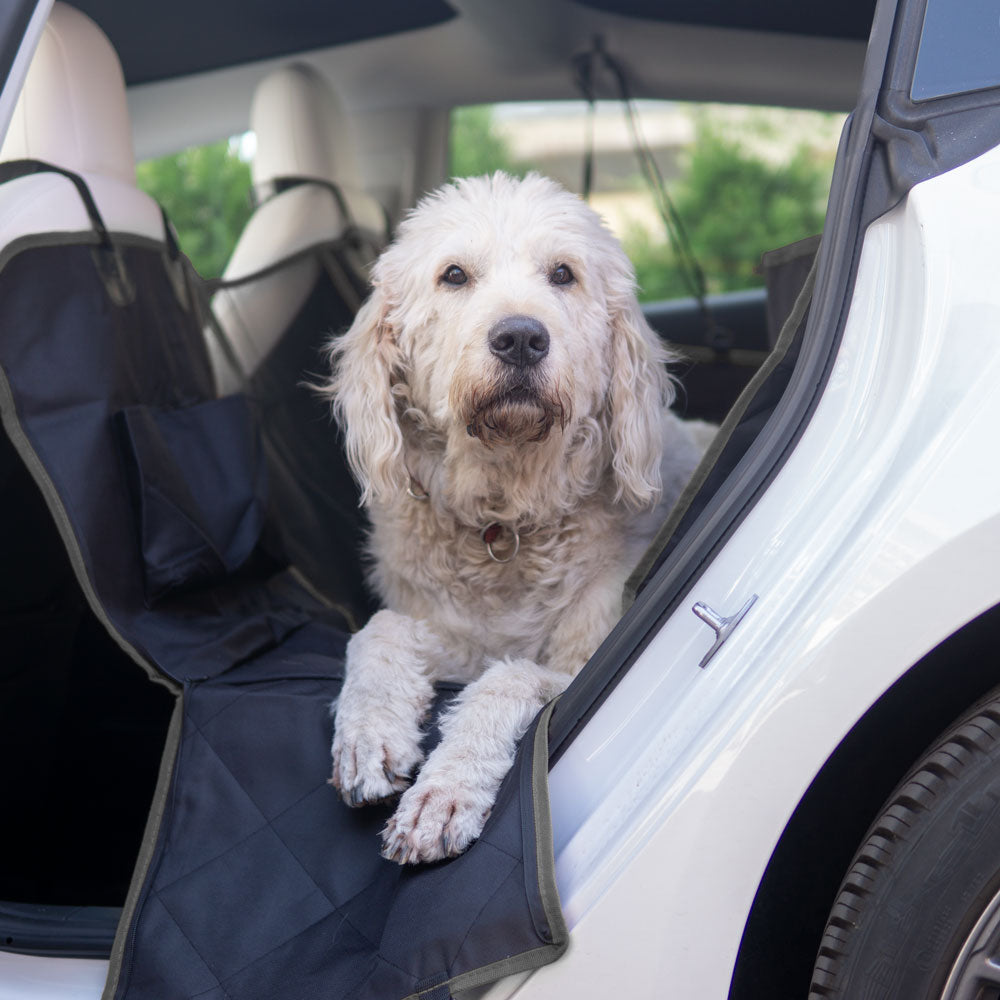 Tesla Model 3/S/X/Y: Hundedecke