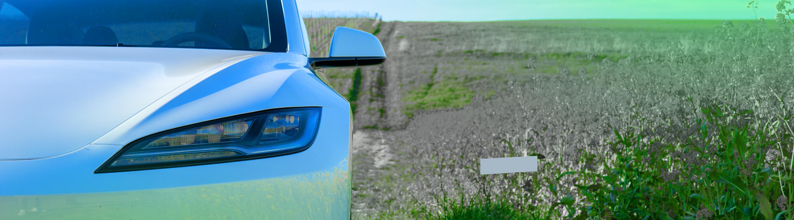 Tesla Model 3 Highland: Green Friday