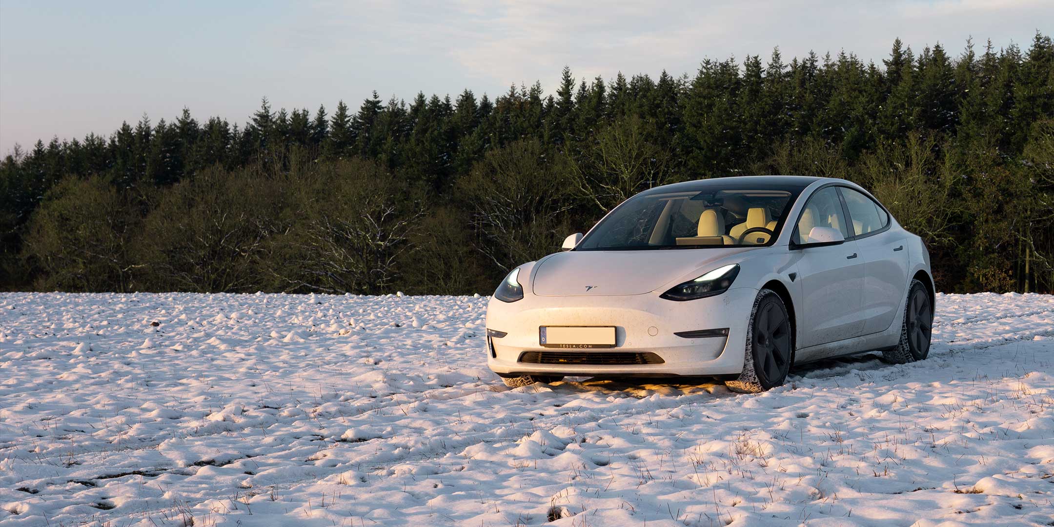 Tesla Model Y: Winter Sale