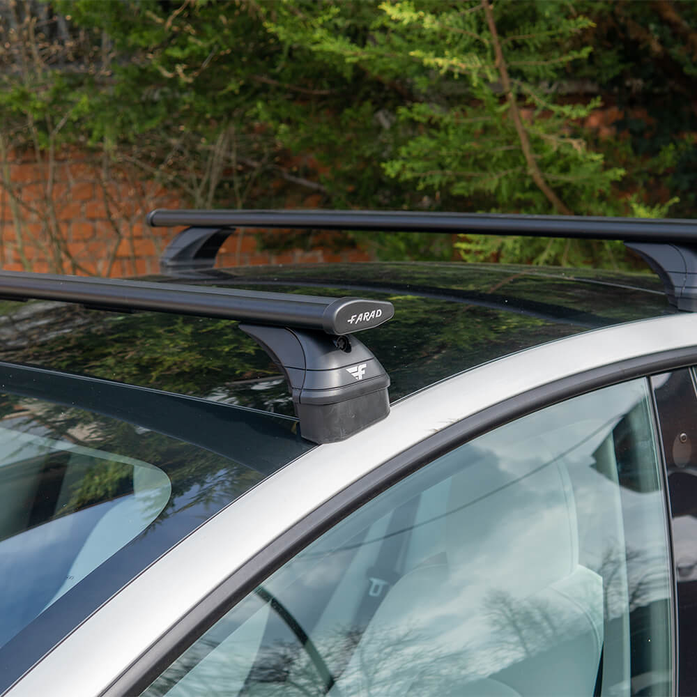 TreeFrog Dachträger mit Saugnäpfen für Tesla Model 3 , Y, S und X