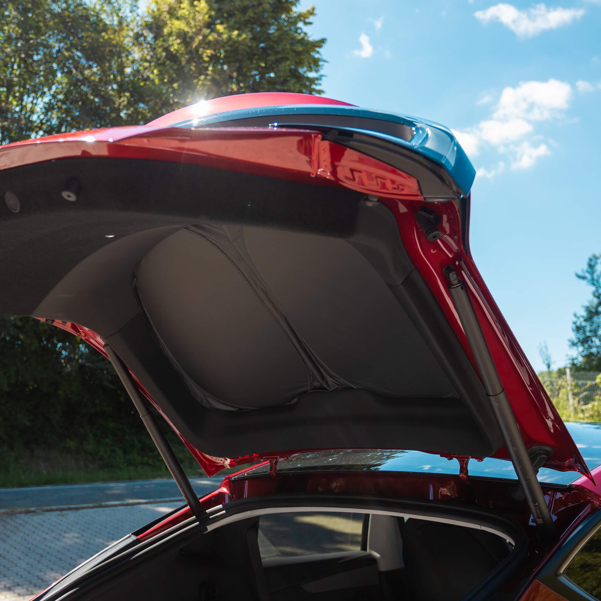 Tesla Model Y 2025: personvernpakke (sidevindu + bakrute)