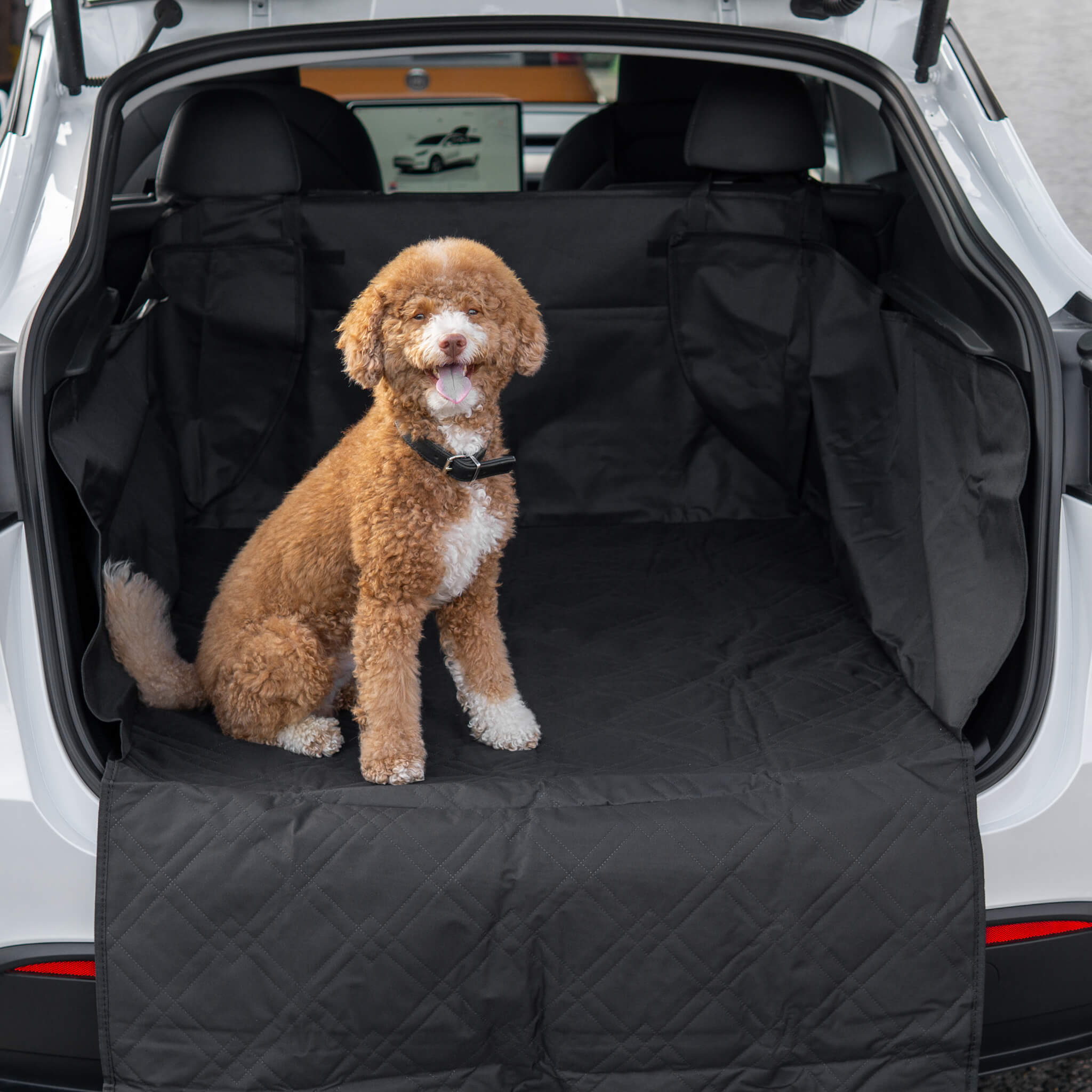 Tesla Model Y Kofferraum Hund Decke